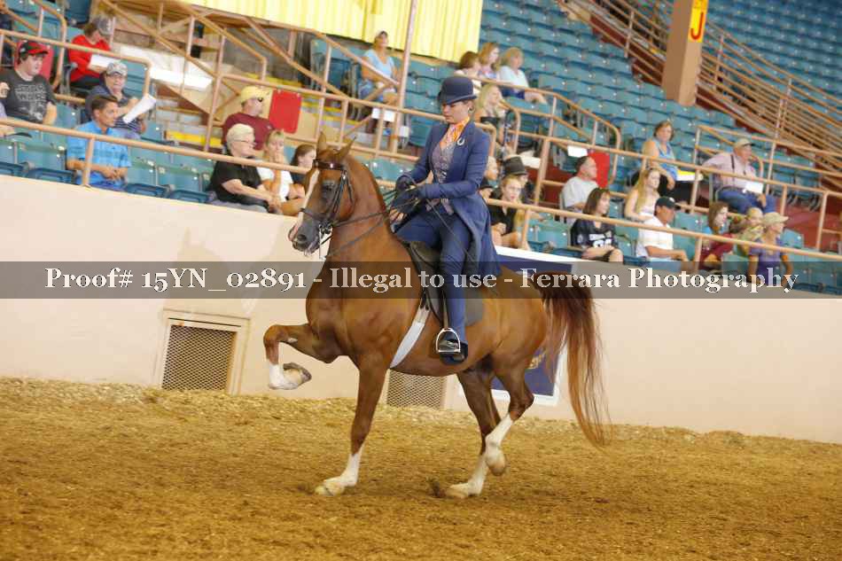 Proof 15YN_02891