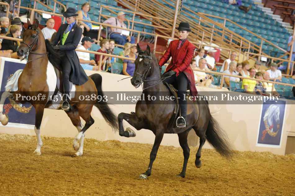 Proof 15YN_02893