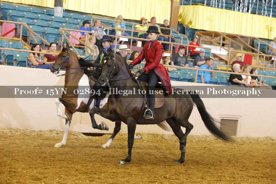 Proof 15YN_02894