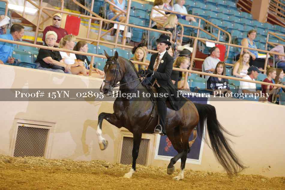 Proof 15YN_02895