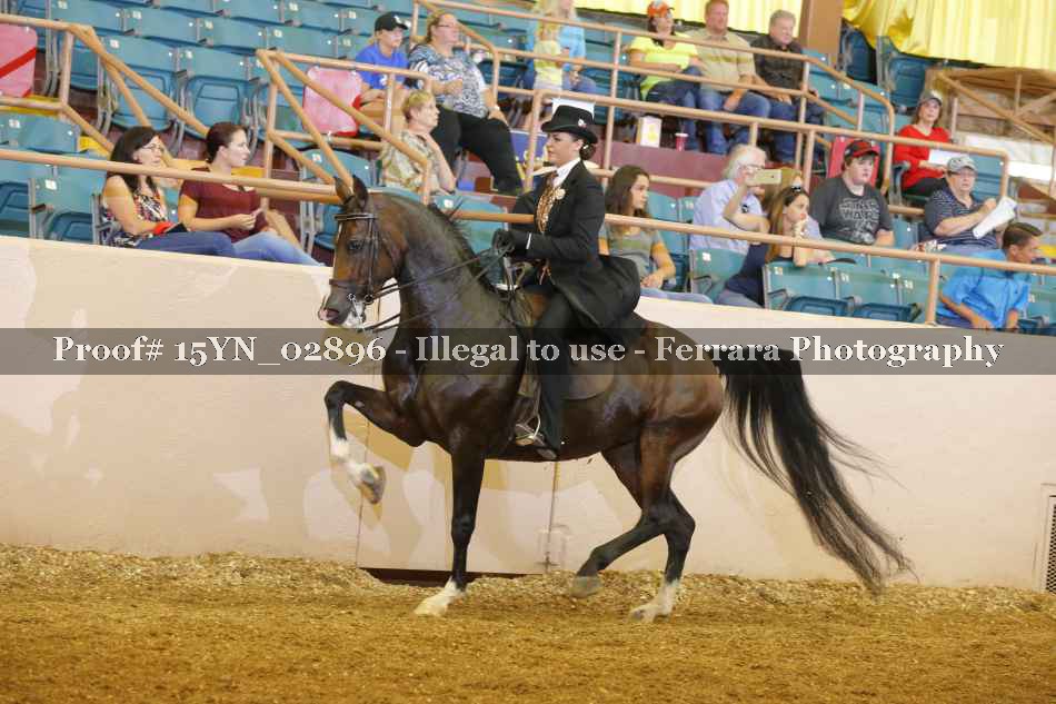 Proof 15YN_02896