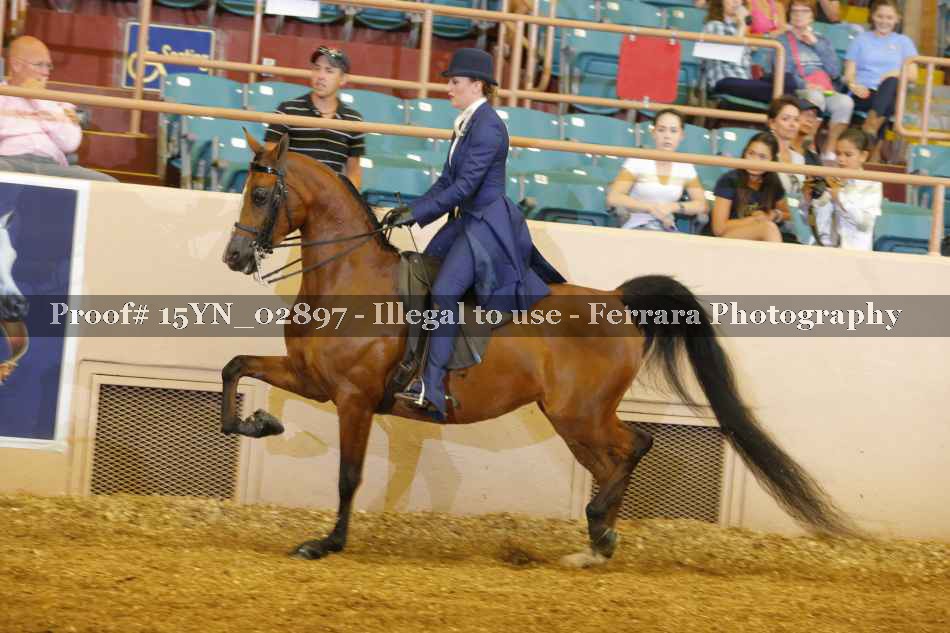 Proof 15YN_02897