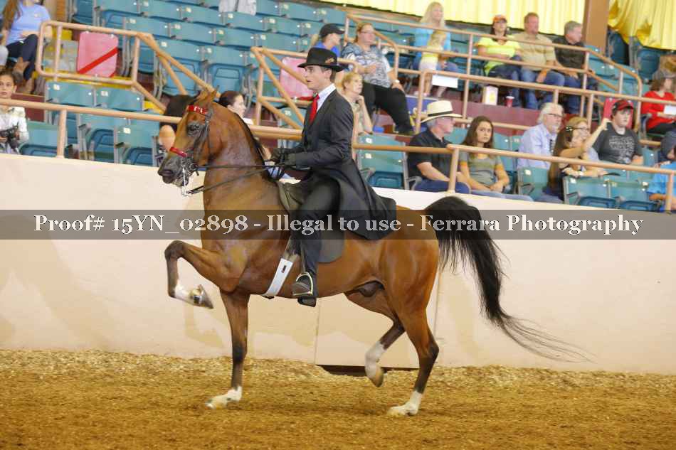 Proof 15YN_02898