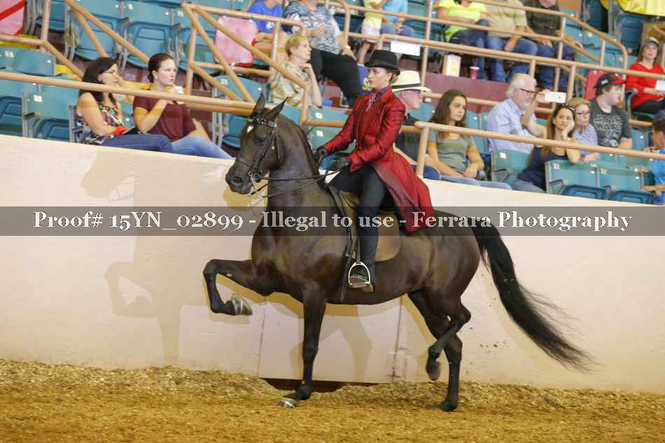 Proof 15YN_02899