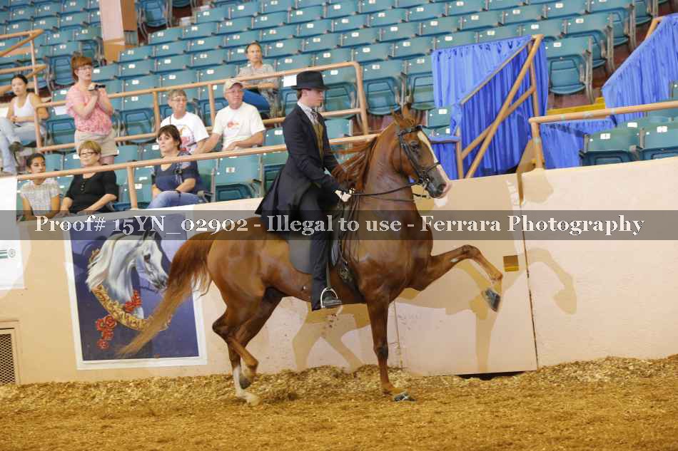Proof 15YN_02902