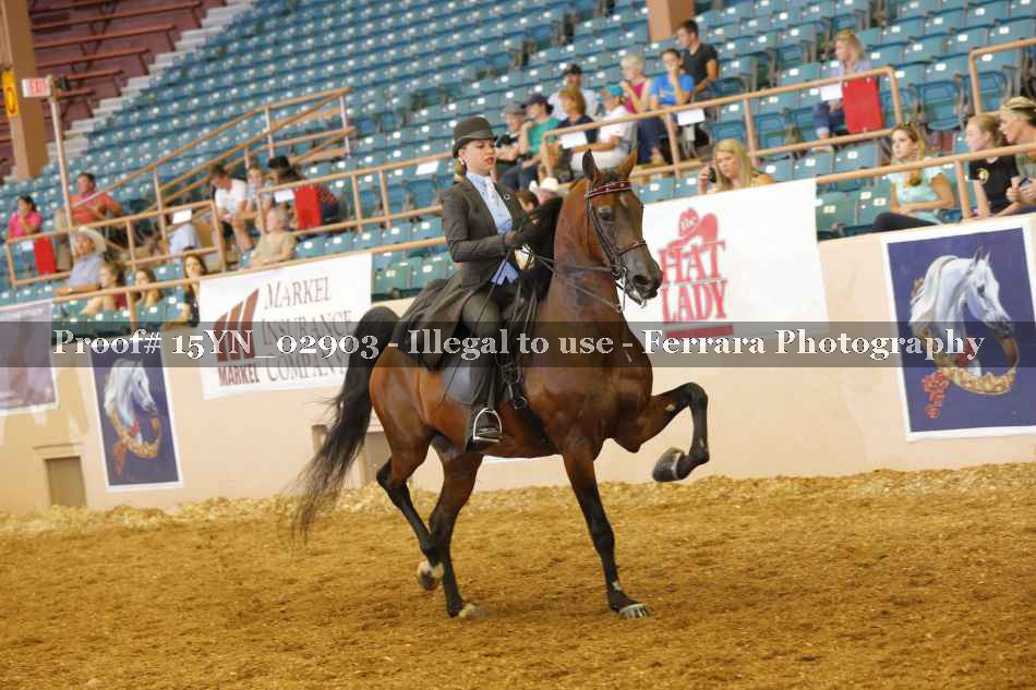 Proof 15YN_02903