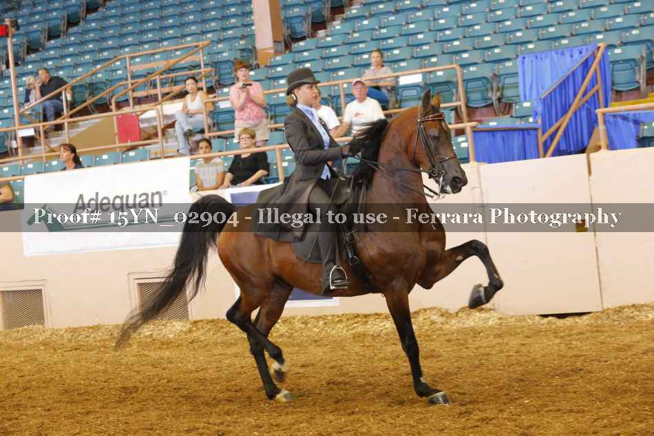 Proof 15YN_02904