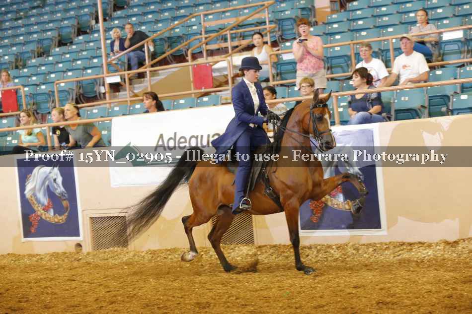 Proof 15YN_02905