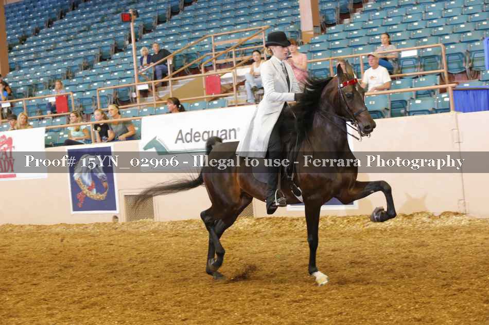 Proof 15YN_02906