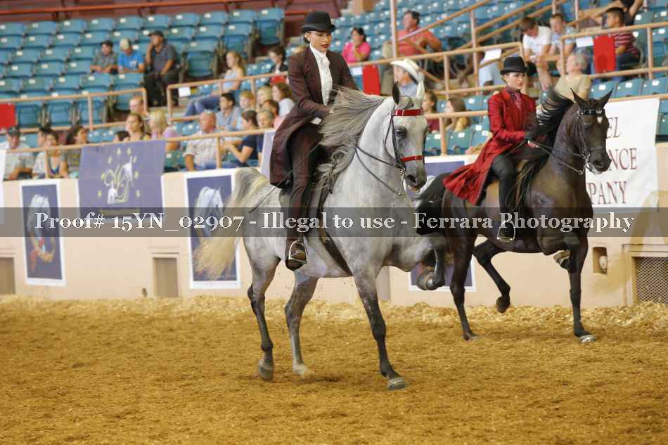 Proof 15YN_02907