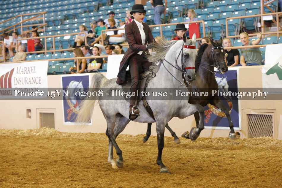 Proof 15YN_02908