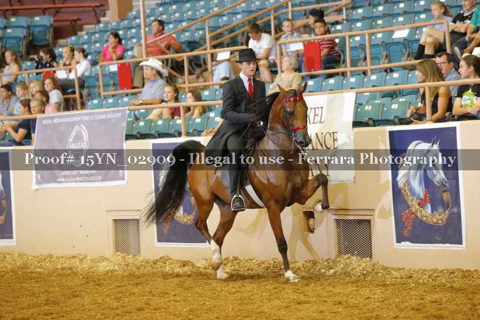 Proof 15YN_02909
