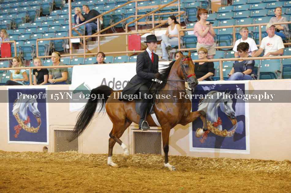 Proof 15YN_02911