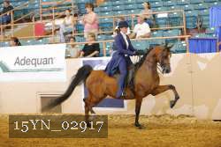 15YN_02917 proof