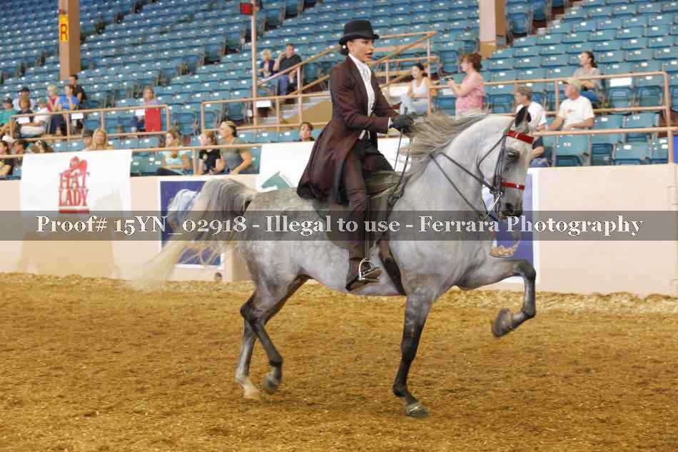Proof 15YN_02918