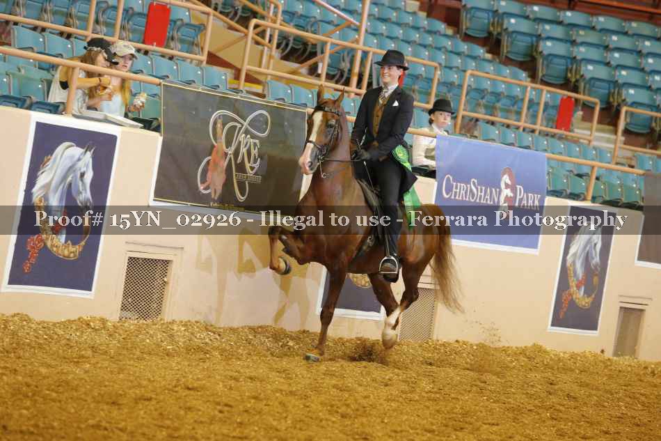 Proof 15YN_02926