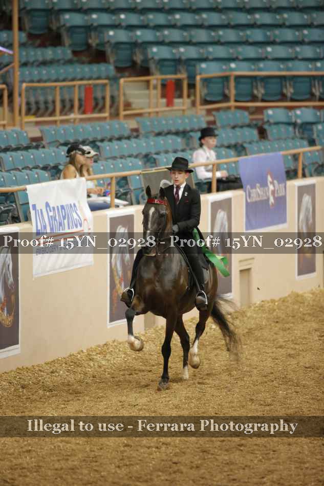 Proof 15YN_02928