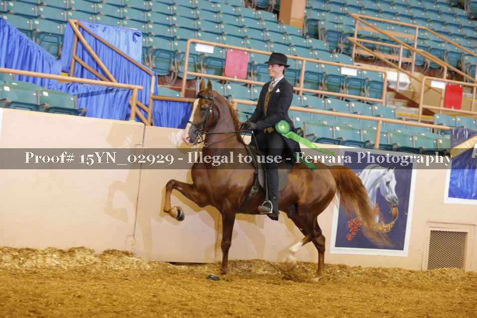 Proof 15YN_02929