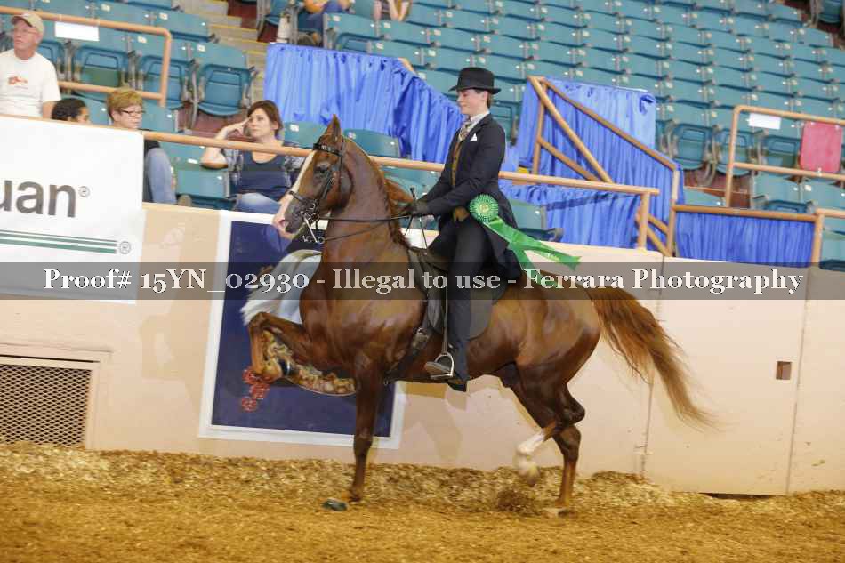 Proof 15YN_02930