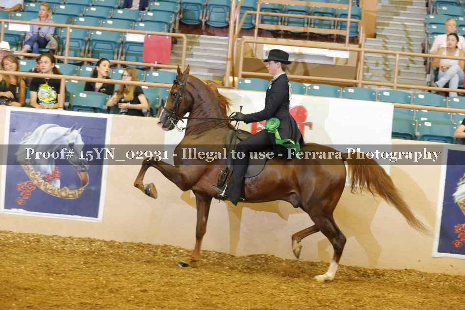 Proof 15YN_02931