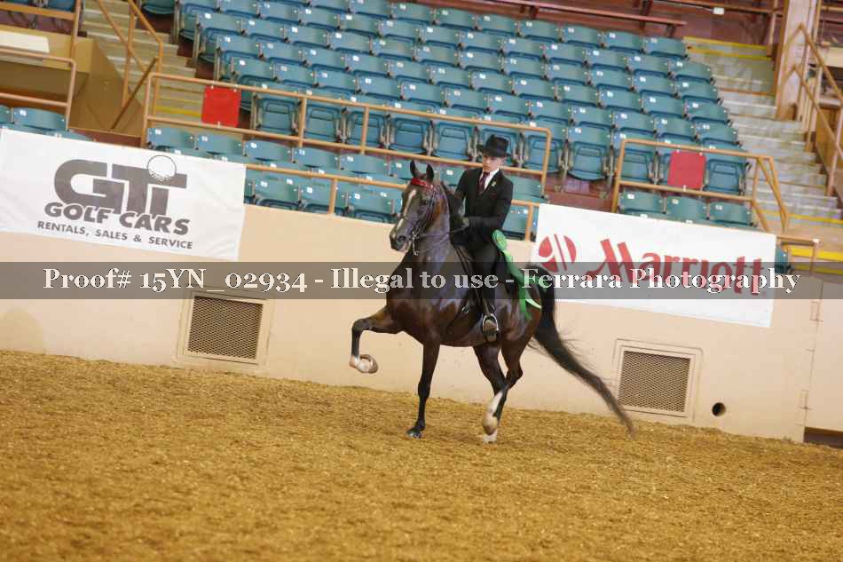 Proof 15YN_02934