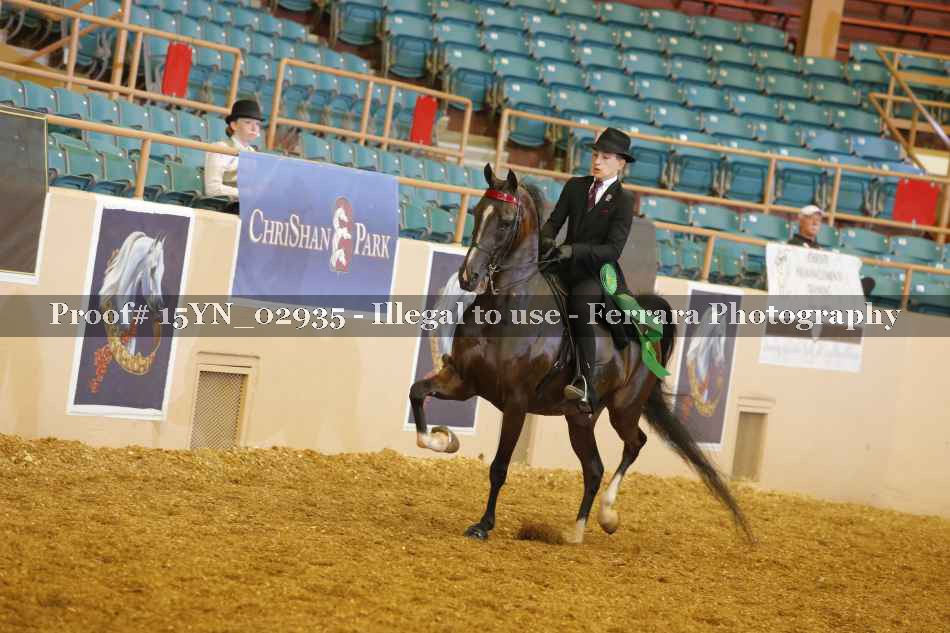 Proof 15YN_02935