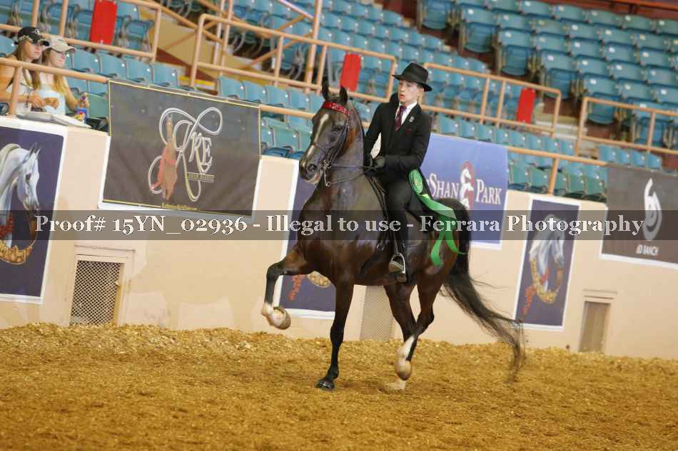 Proof 15YN_02936