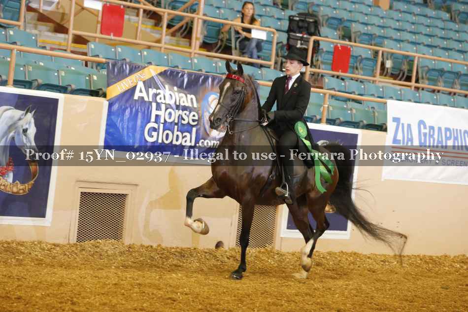 Proof 15YN_02937