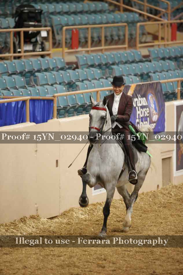 Proof 15YN_02940