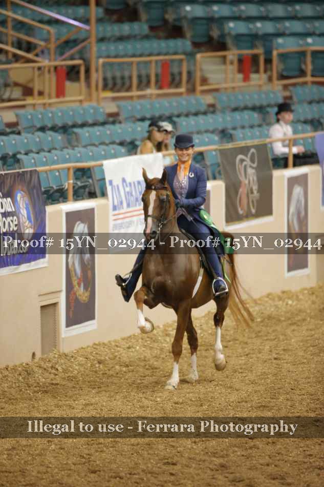 Proof 15YN_02944
