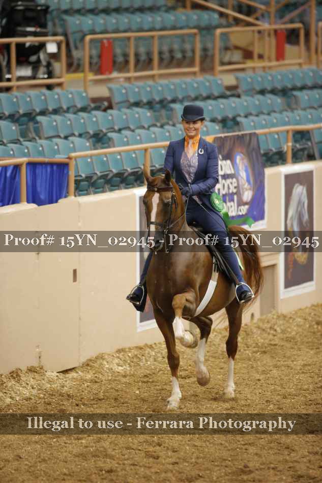 Proof 15YN_02945
