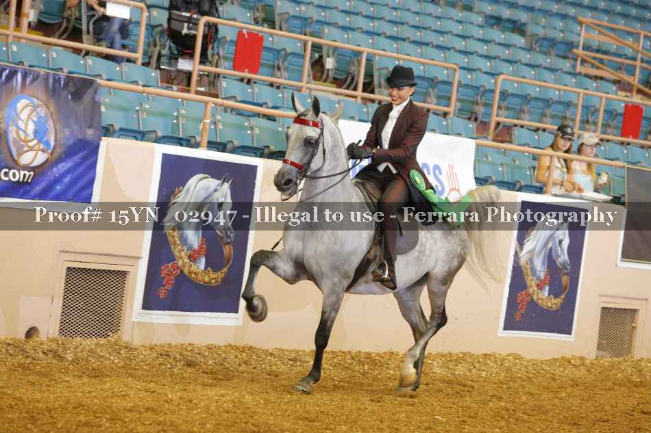 Proof 15YN_02947