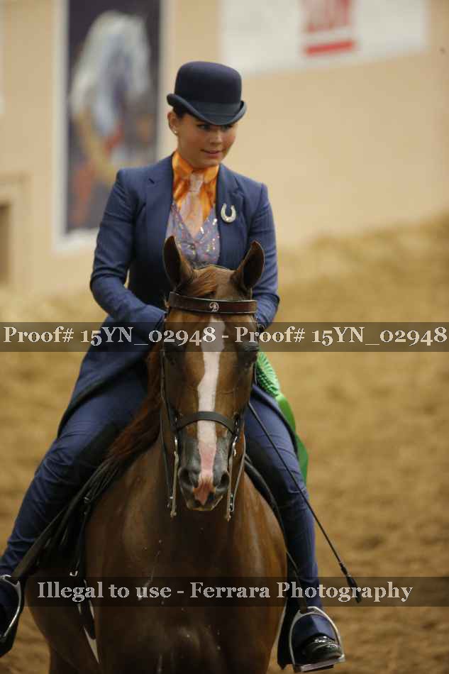 Proof 15YN_02948