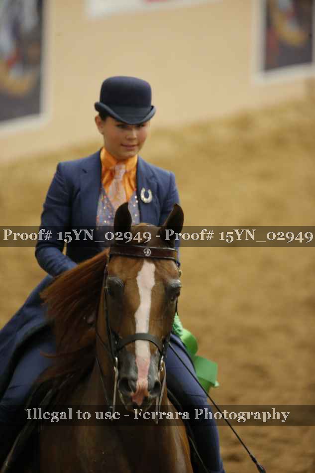 Proof 15YN_02949