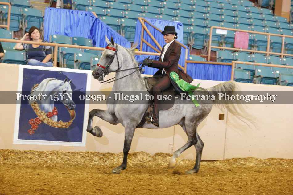 Proof 15YN_02951