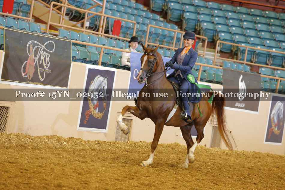 Proof 15YN_02952