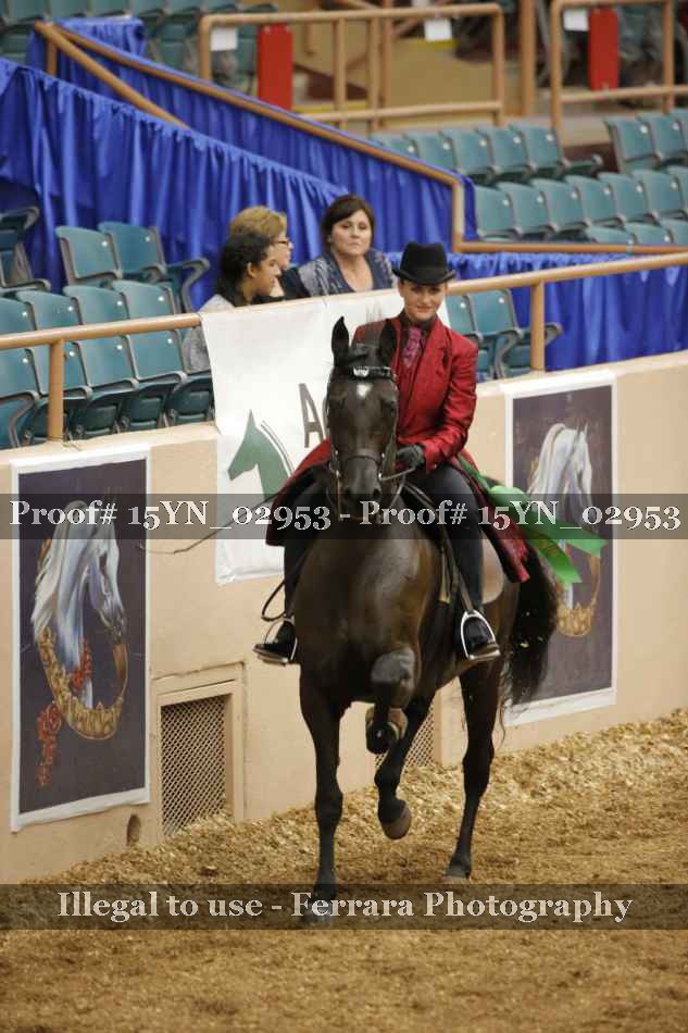 Proof 15YN_02953
