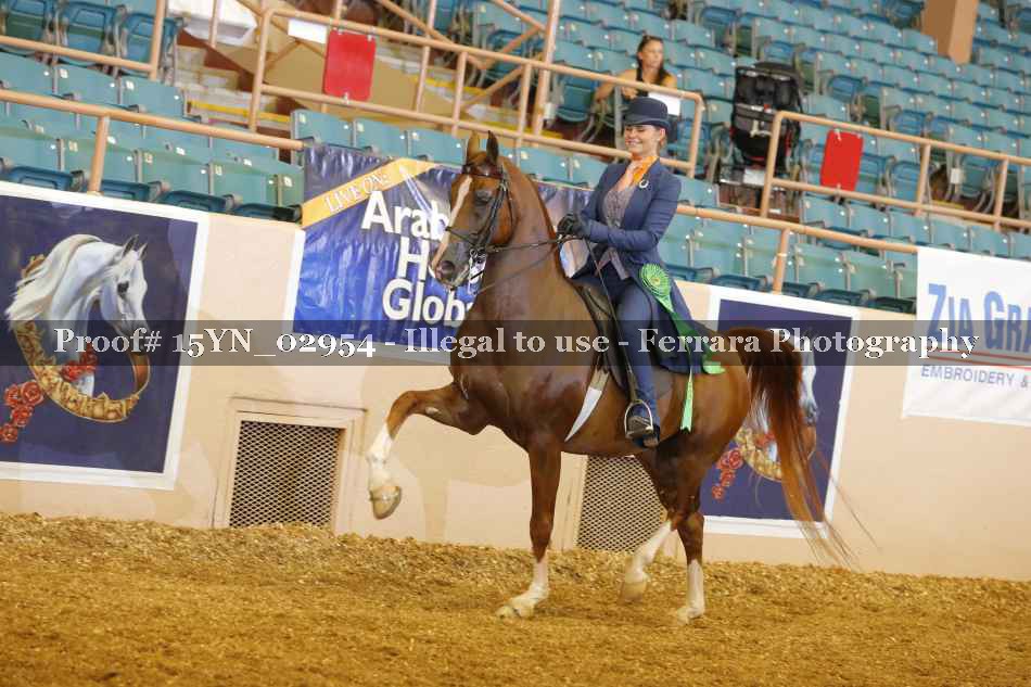 Proof 15YN_02954
