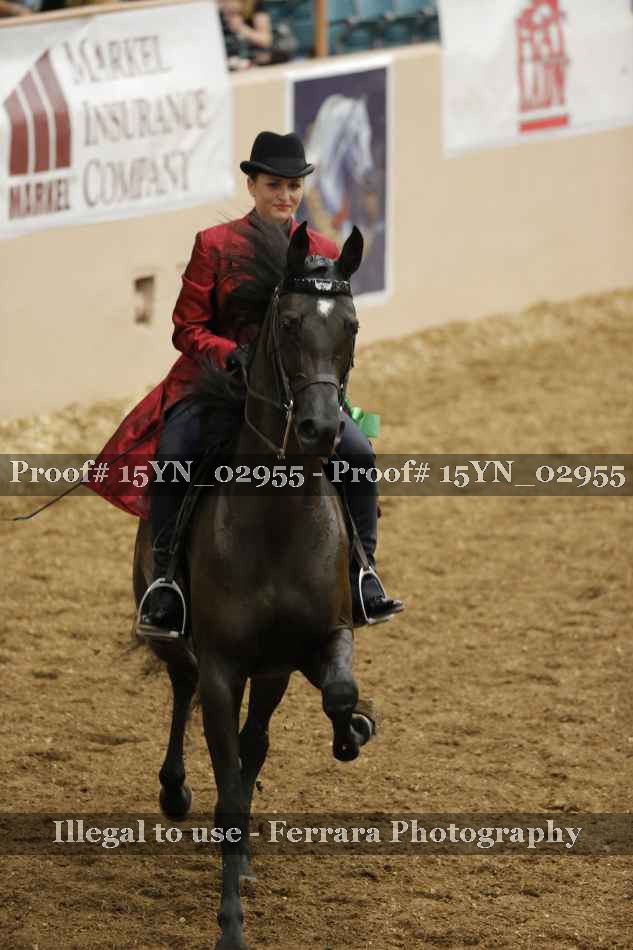 Proof 15YN_02955