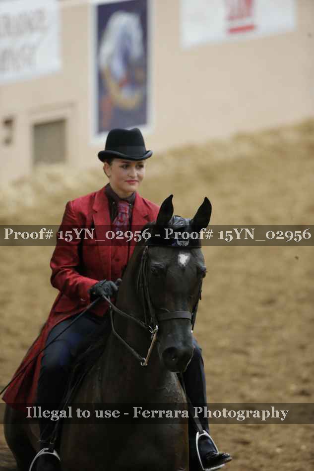 Proof 15YN_02956