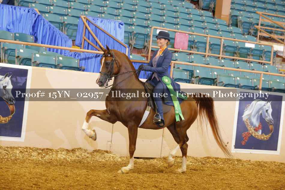 Proof 15YN_02957