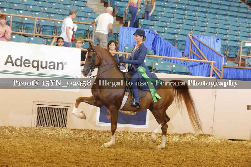Proof 15YN_02958