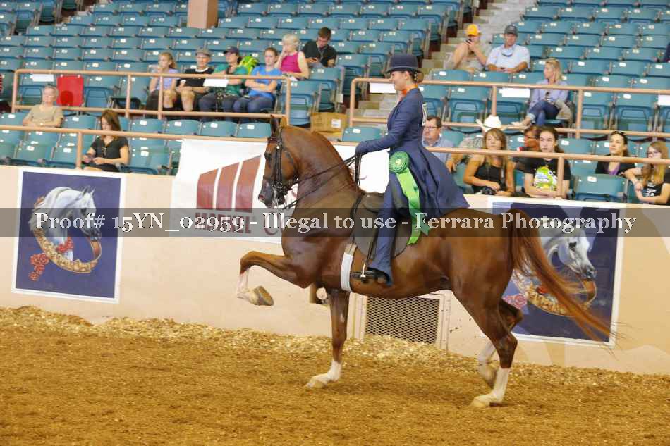 Proof 15YN_02959