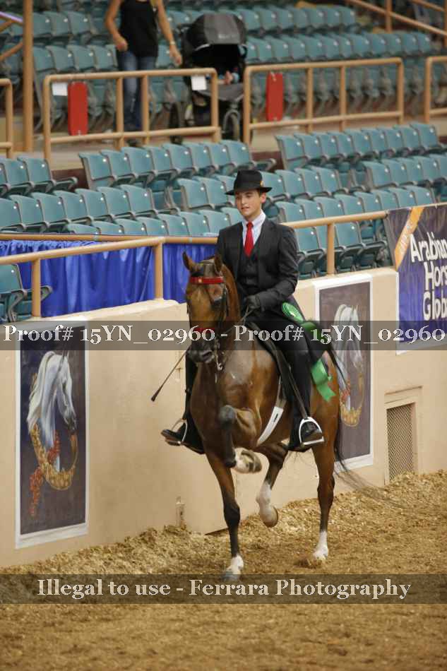 Proof 15YN_02960