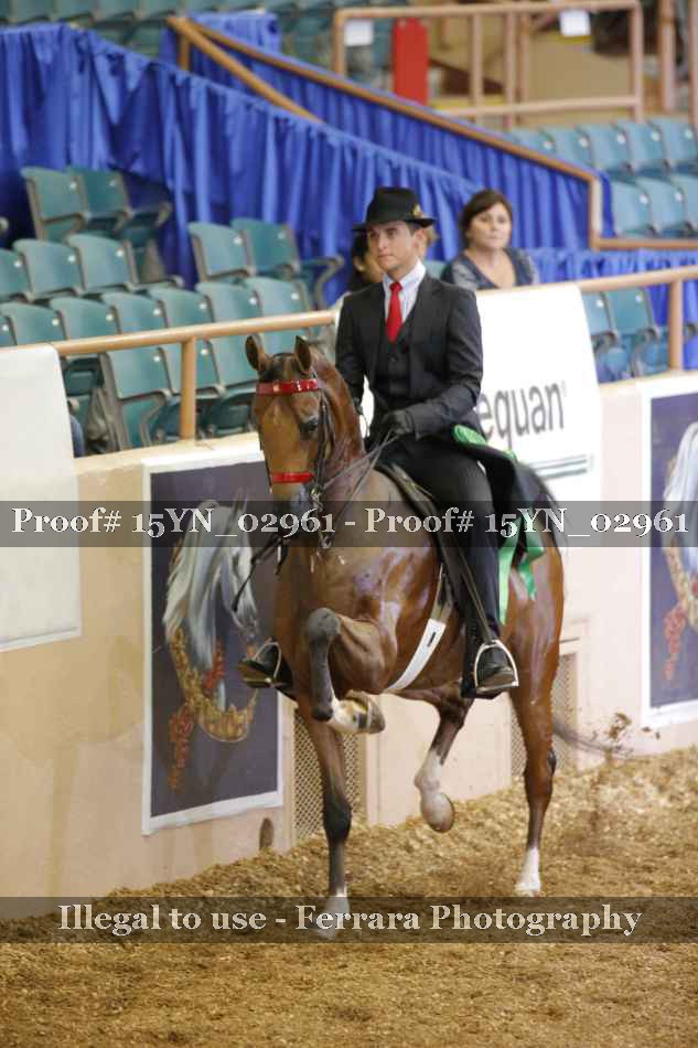 Proof 15YN_02961