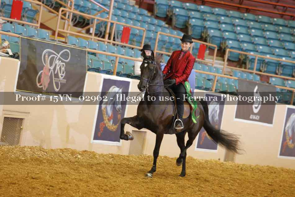Proof 15YN_02962