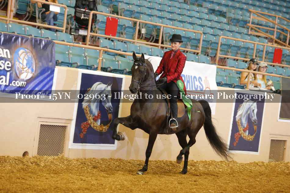Proof 15YN_02963