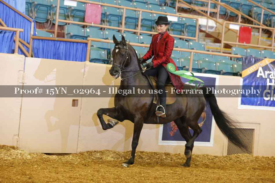 Proof 15YN_02964