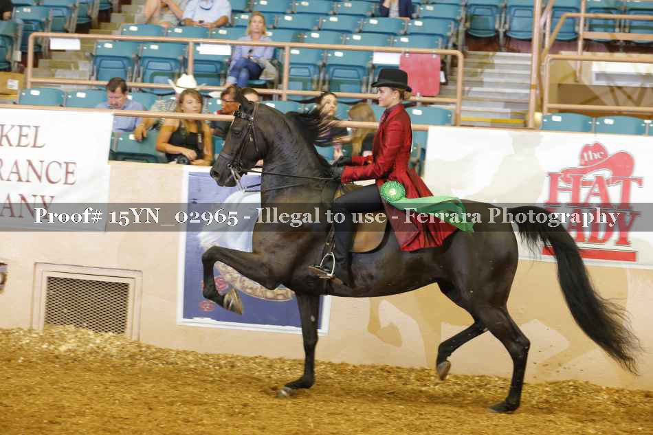 Proof 15YN_02965