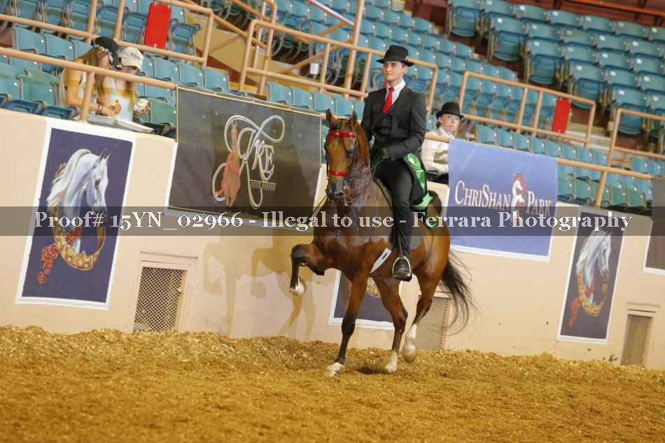 Proof 15YN_02966